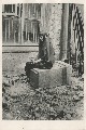 Фотография 4