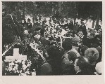 Фотография 11