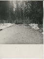 Фотография 5