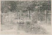 Фотография 6